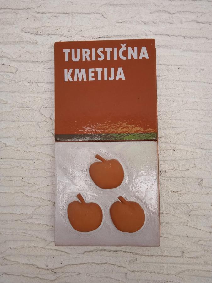 Вилла Turisticna Kmetija Birsa Dobravlje Экстерьер фото